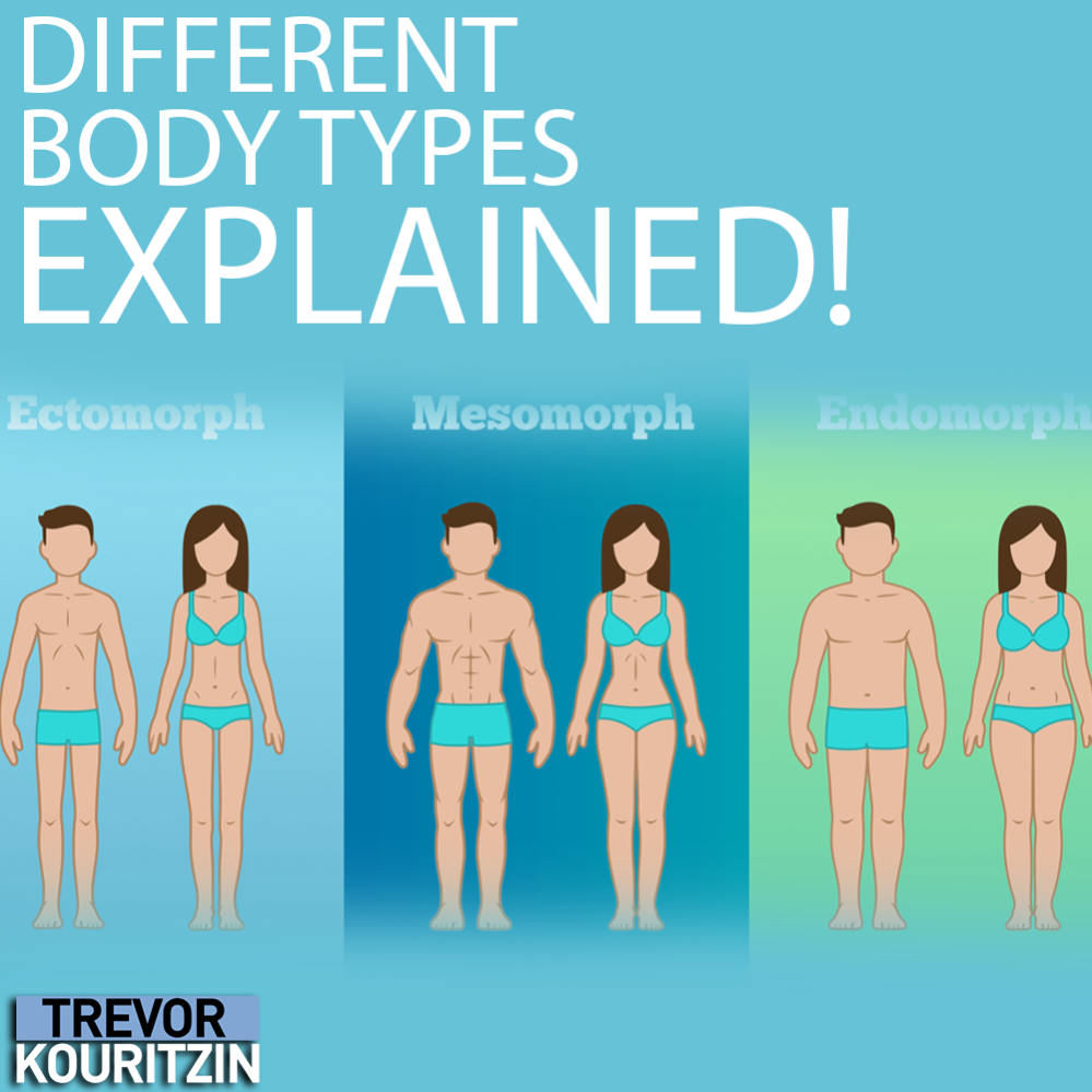 Different Body Types Explained! Trevor Kouritzin